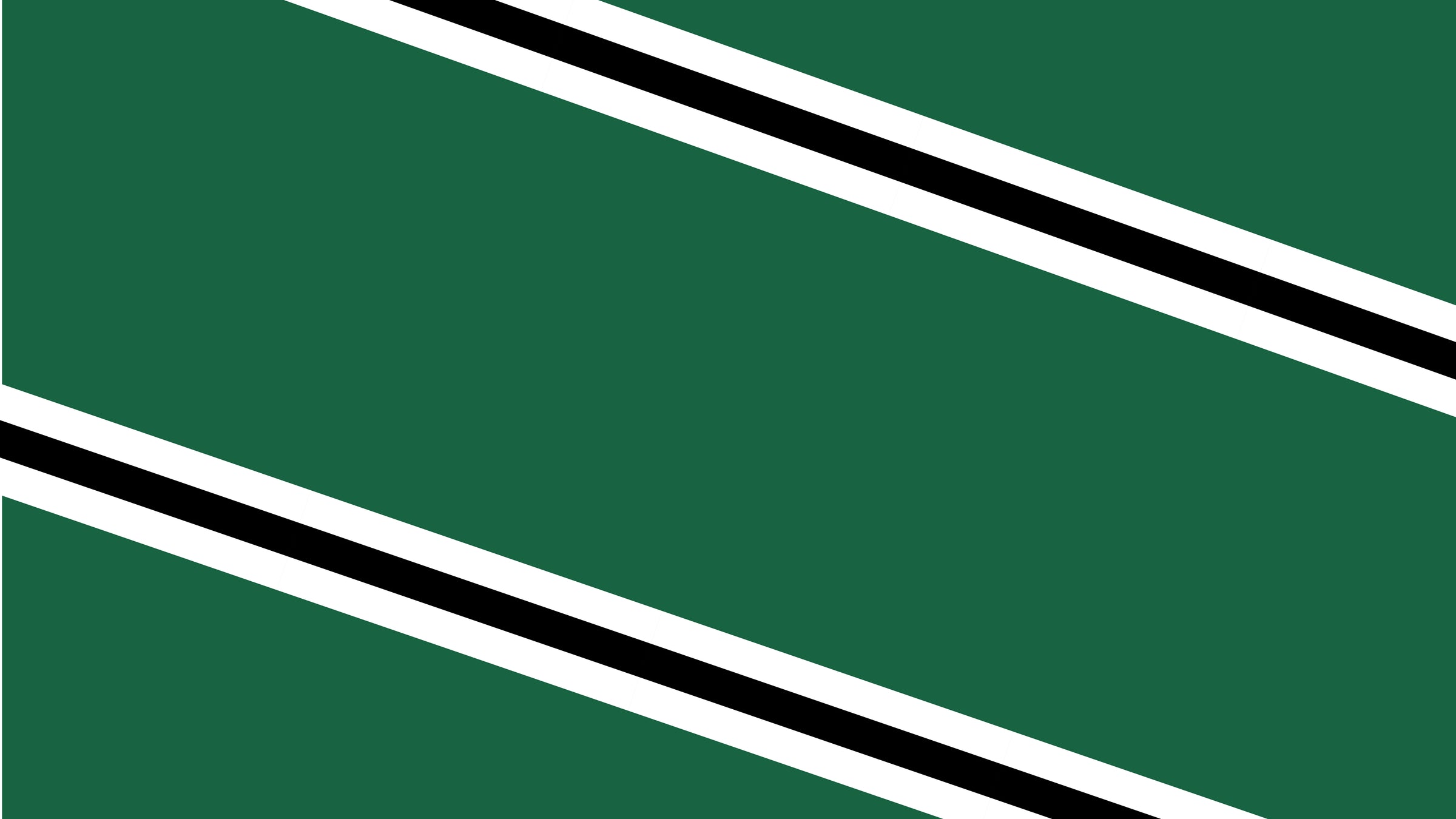 Abstract design featuring dark green geometric shapes divided by diagonal white and black lines, creating a bold pattern with sharp angles on a square background.