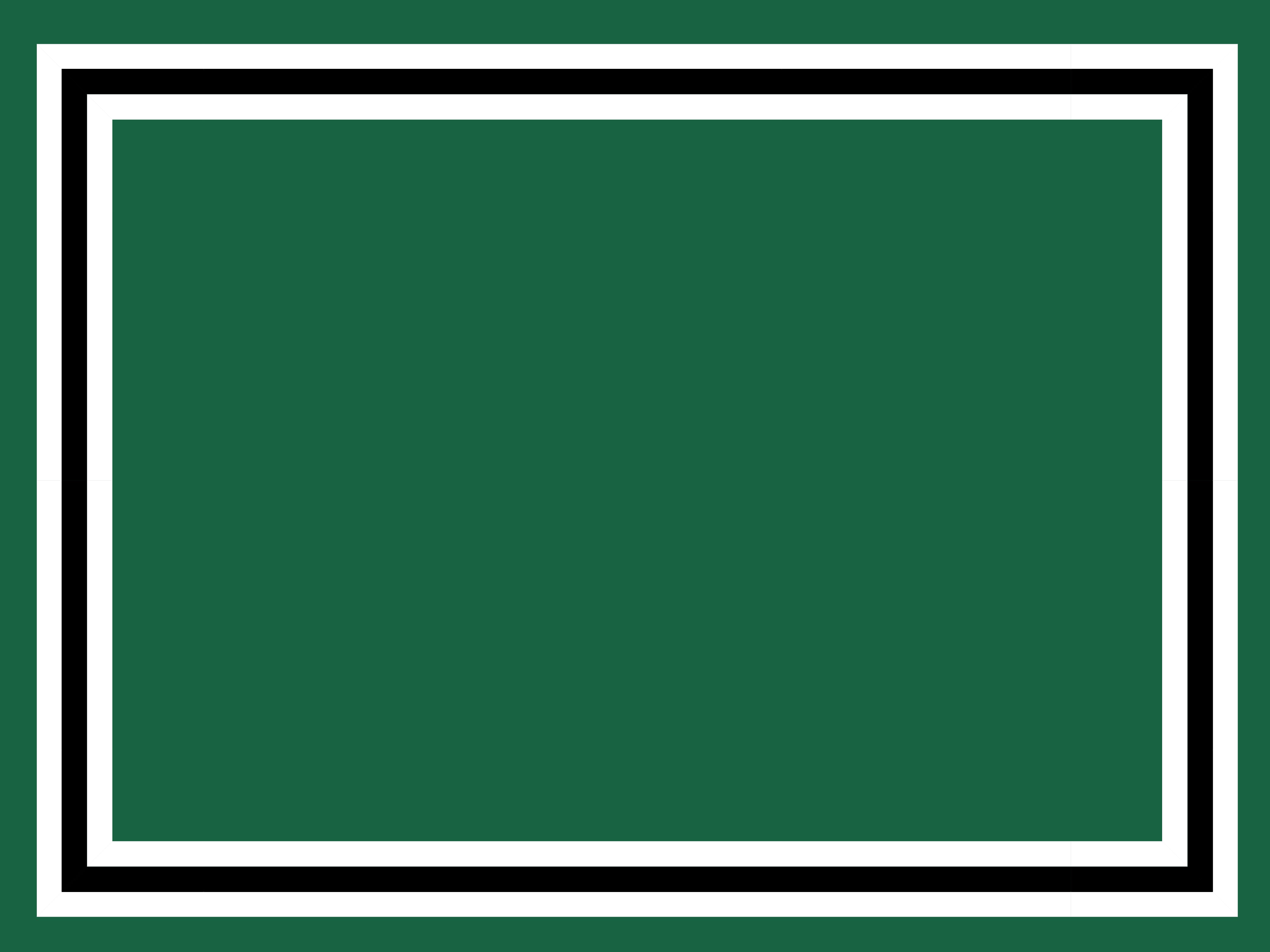 A rectangular green background with a thick white border, followed by a thin black line, then another thick white border and a final thin black line, creating a layered frame effect around the edge.