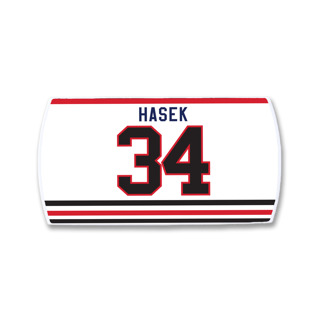 Dominik Hasek