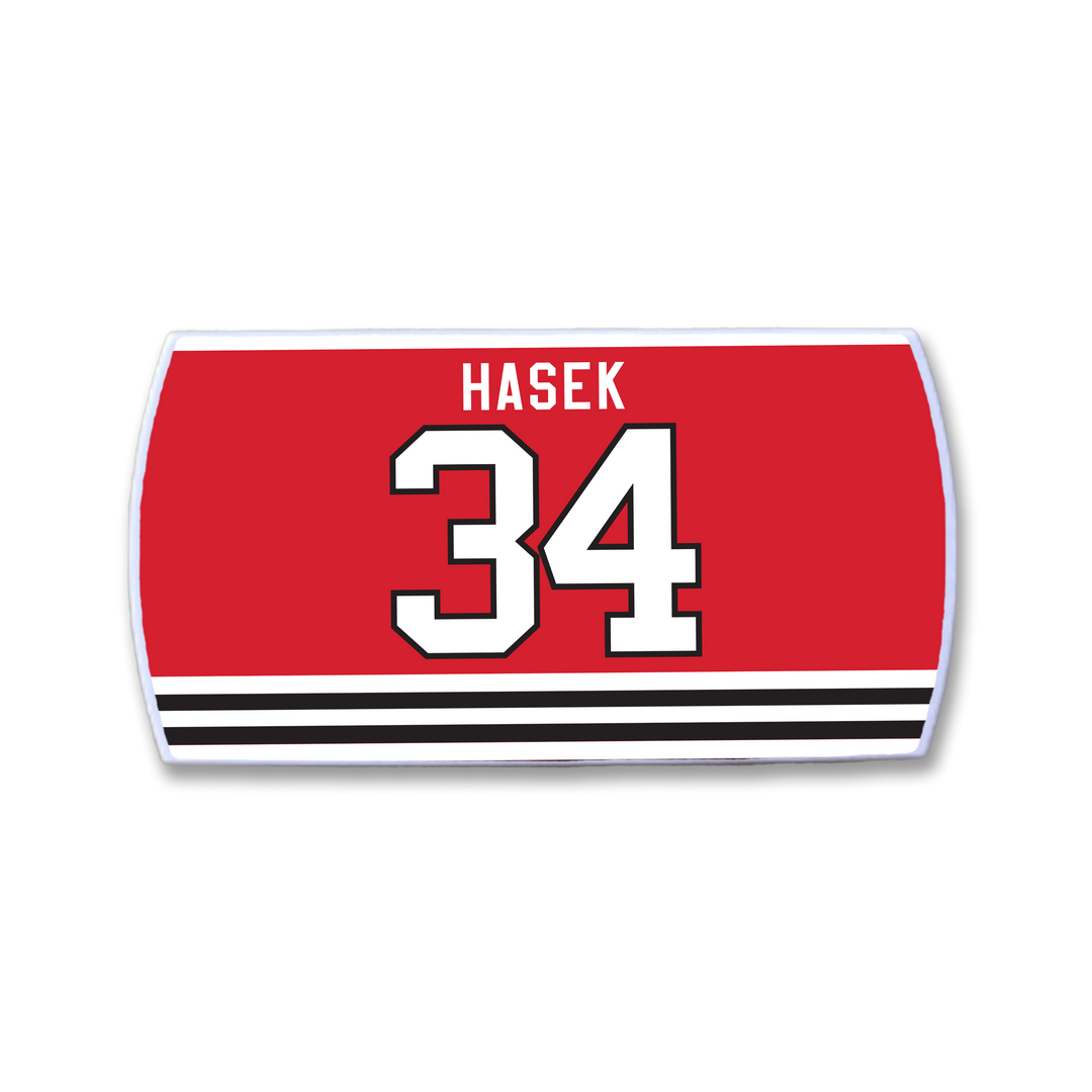 Dominik Hasek