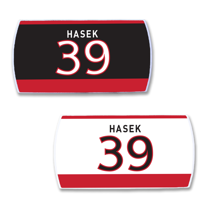 Dominik Hasek