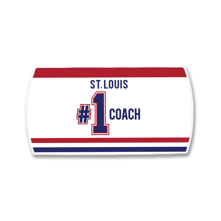 Martin St. Louis