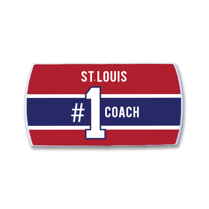 Martin St. Louis