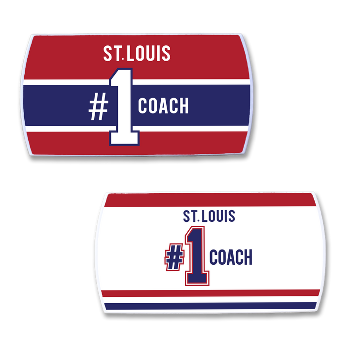 Martin St. Louis